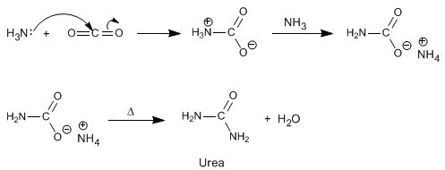 sintesis-amidas-urea