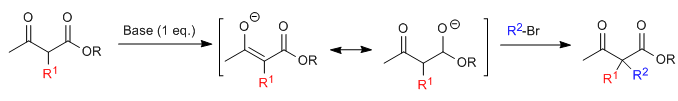 Acetylessigsynthese 02